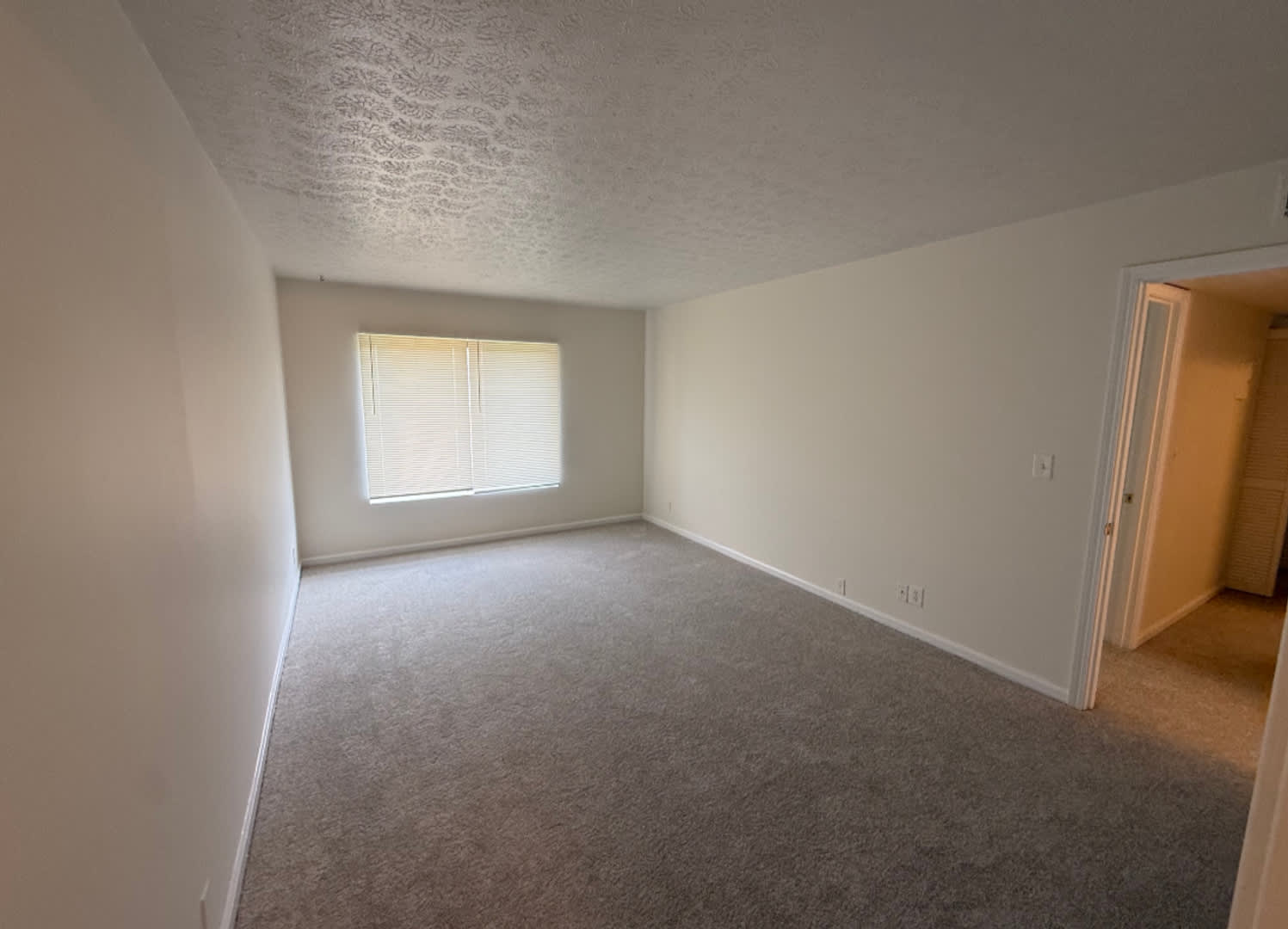 Renovated 2 BR 1.5 BA in Wildwood – photo 5