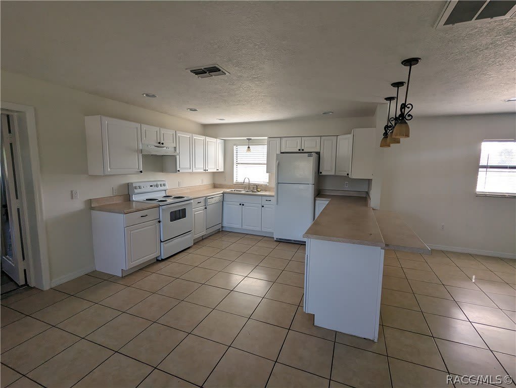 5287 W Homosassa Trail – photo 5