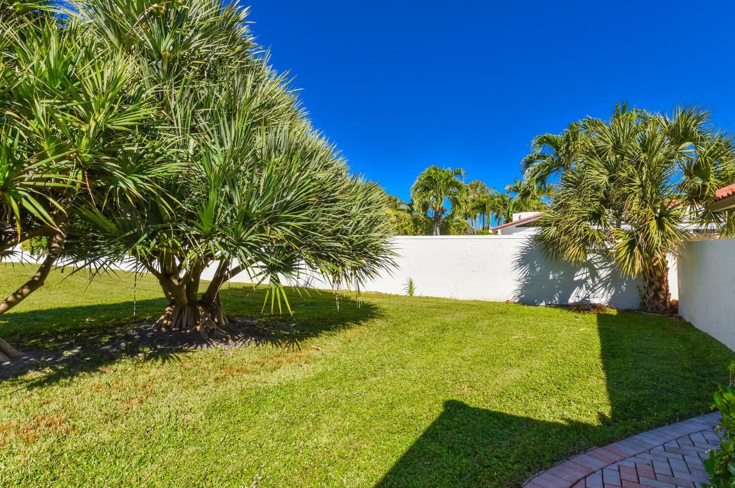 1469 Via Privada – photo 4