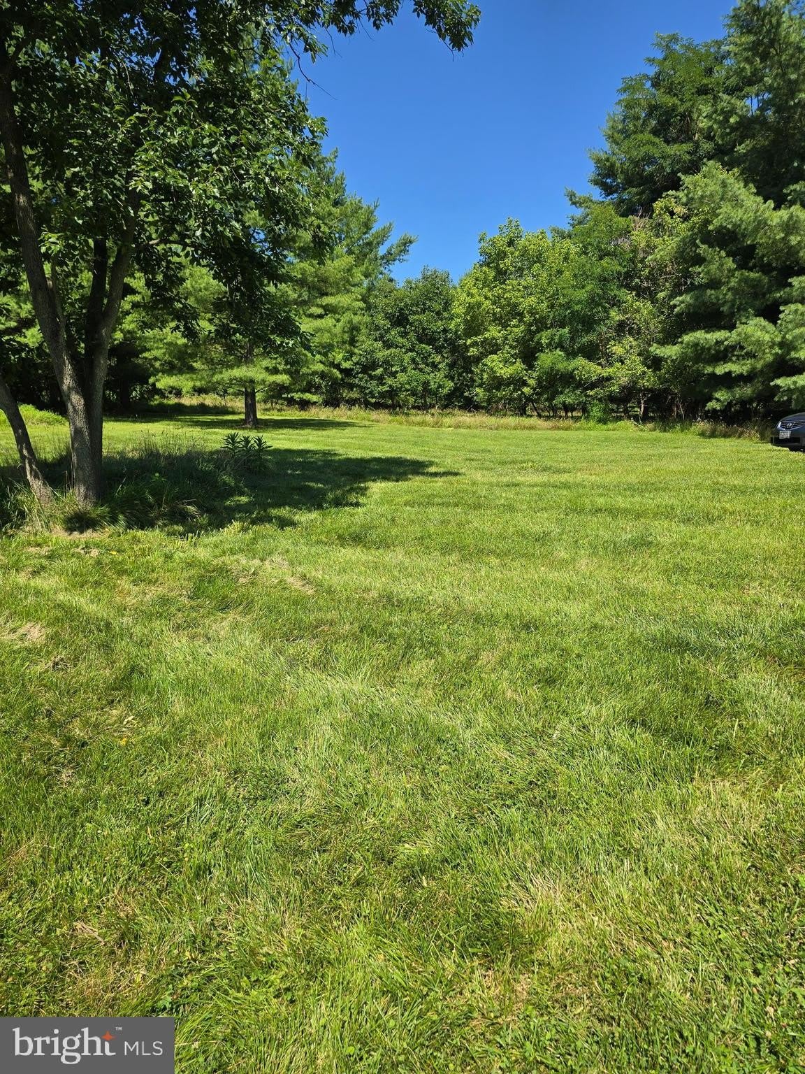 39227 Tollhouse Road – photo 5