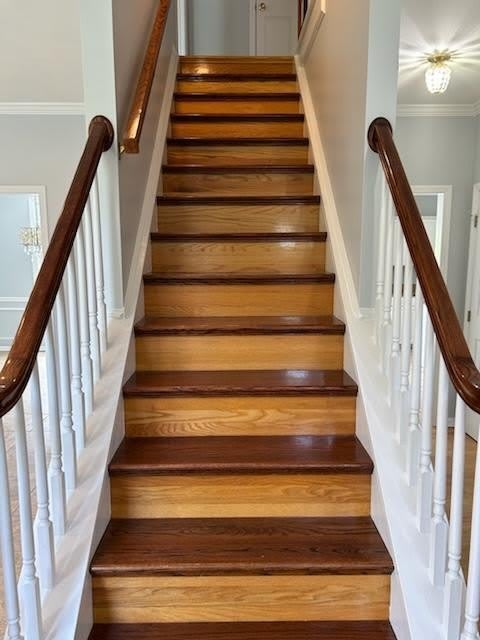110 Noritake Drive – photo 2