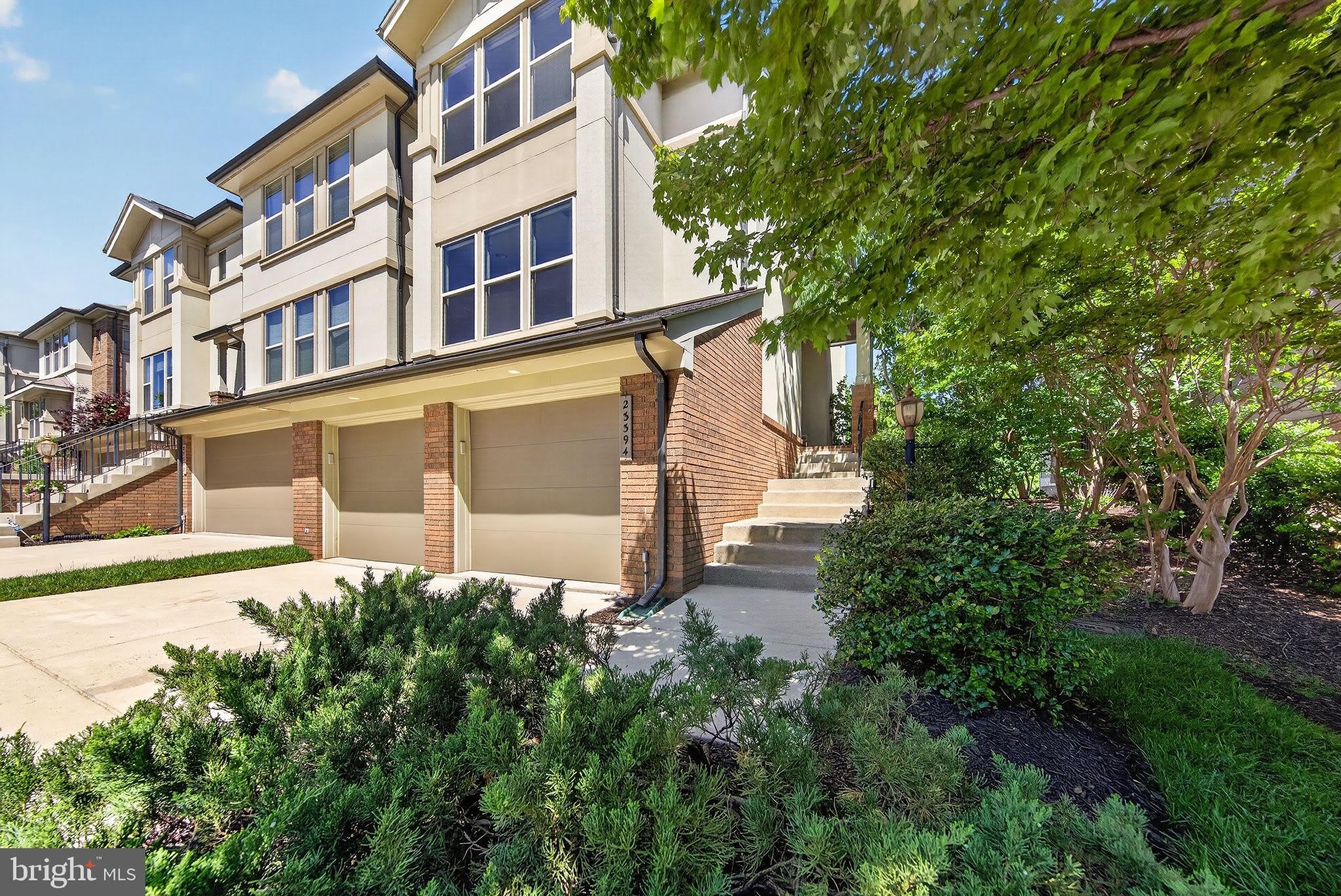 23394 EVENING PRIMROSE Square – photo 2