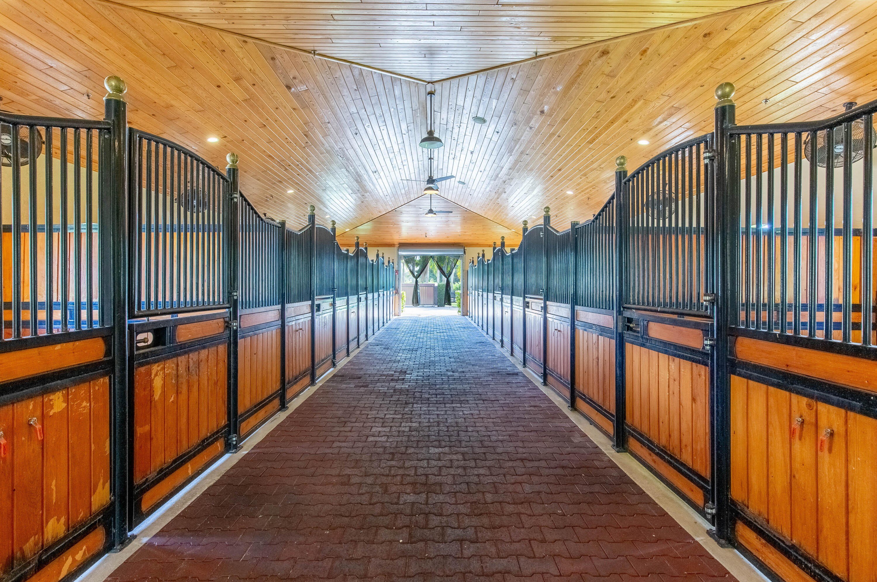 14943 Paddock Drive – photo 4
