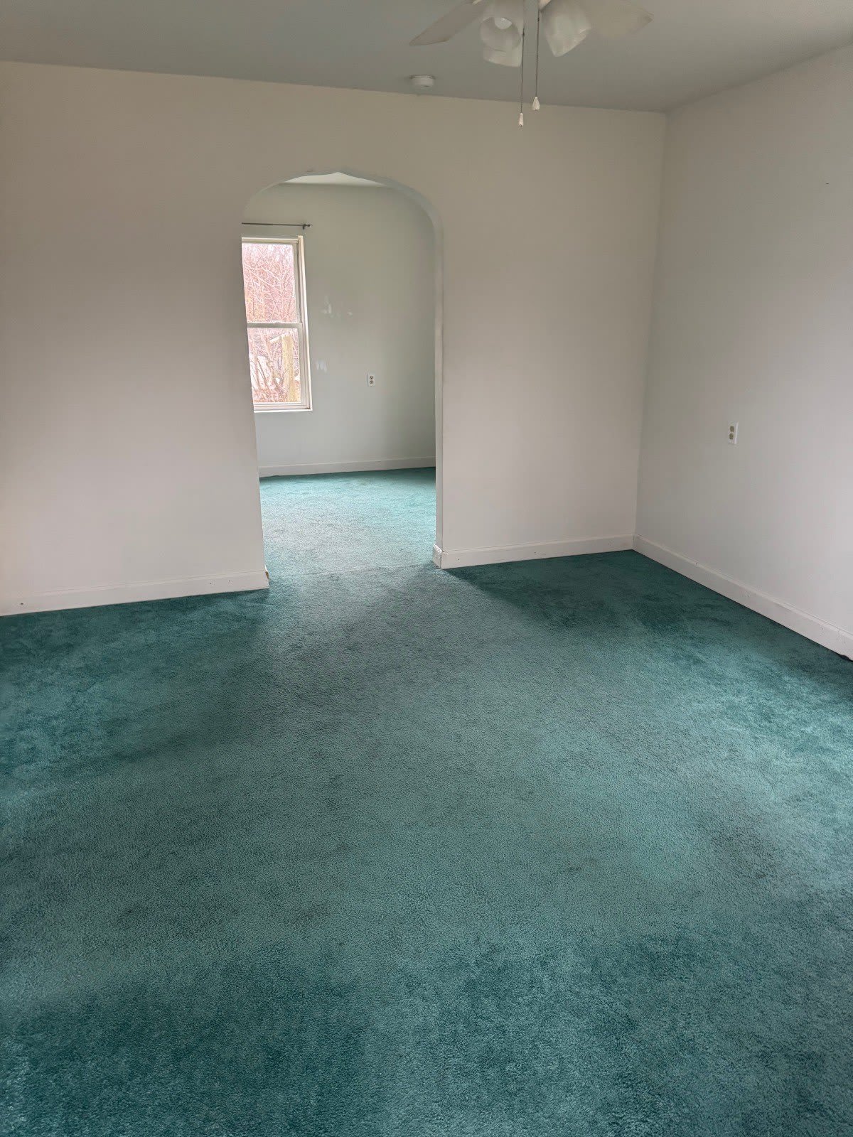 920 Sycamore St – photo 3