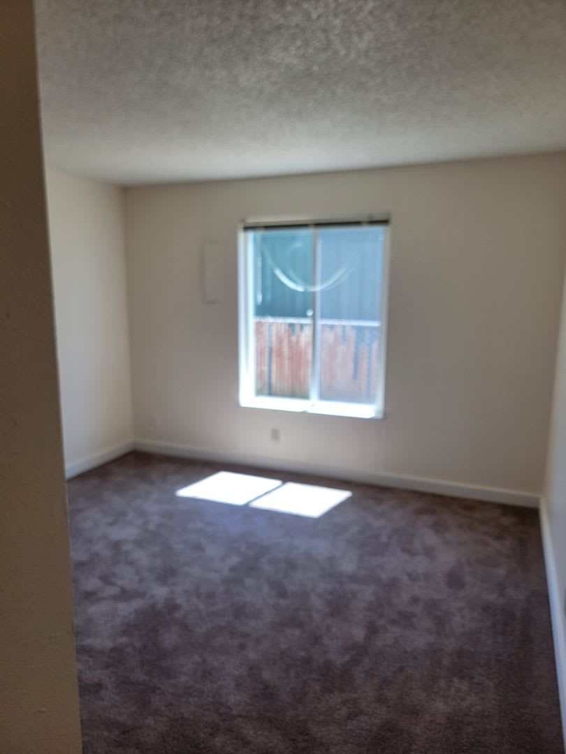 251 Pine Crest Apartments – photo 5