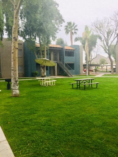 Paradise Greens – photo 3