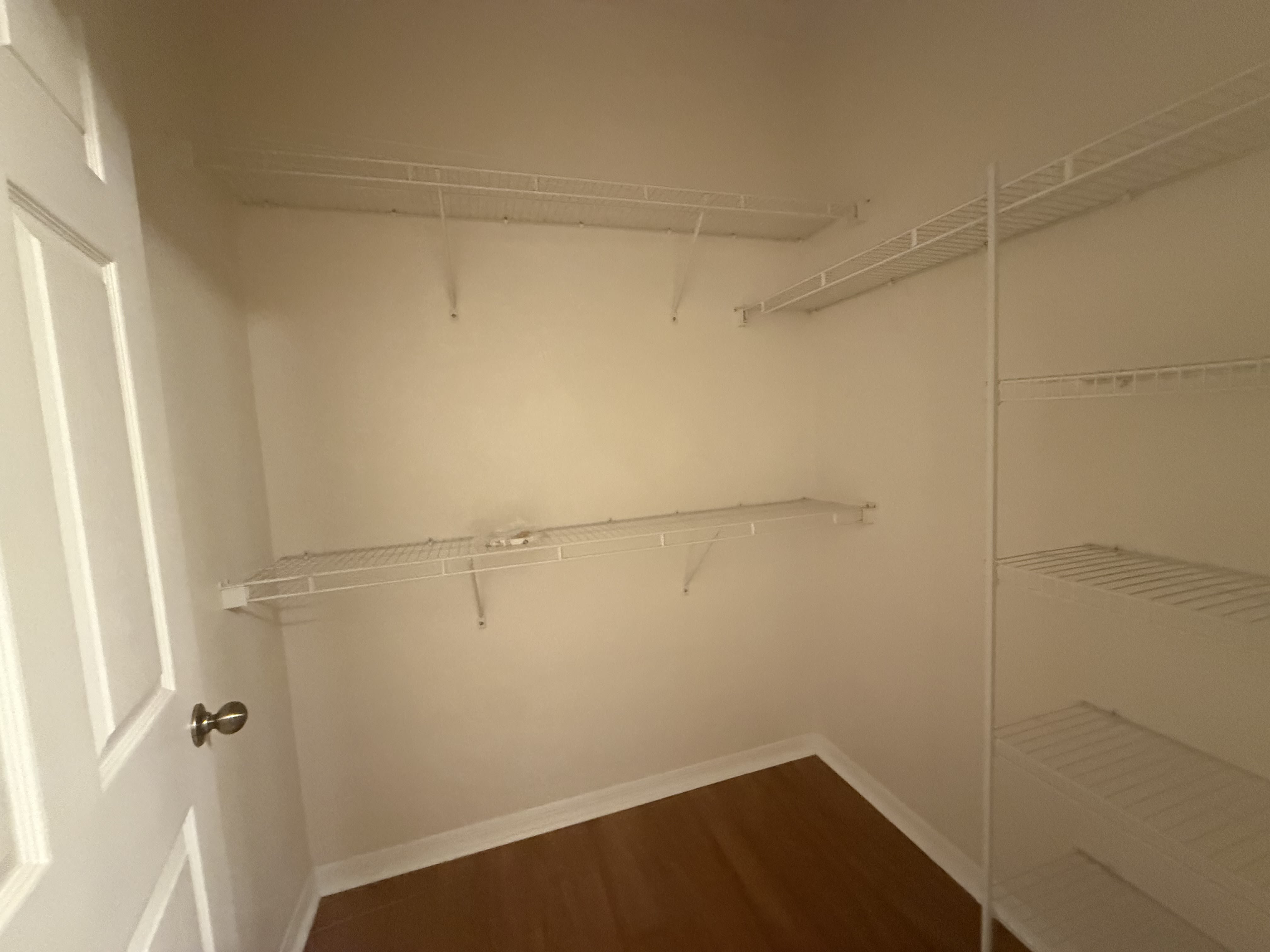 10121 Courtney Palms Blvd Apt 201 – photo 5