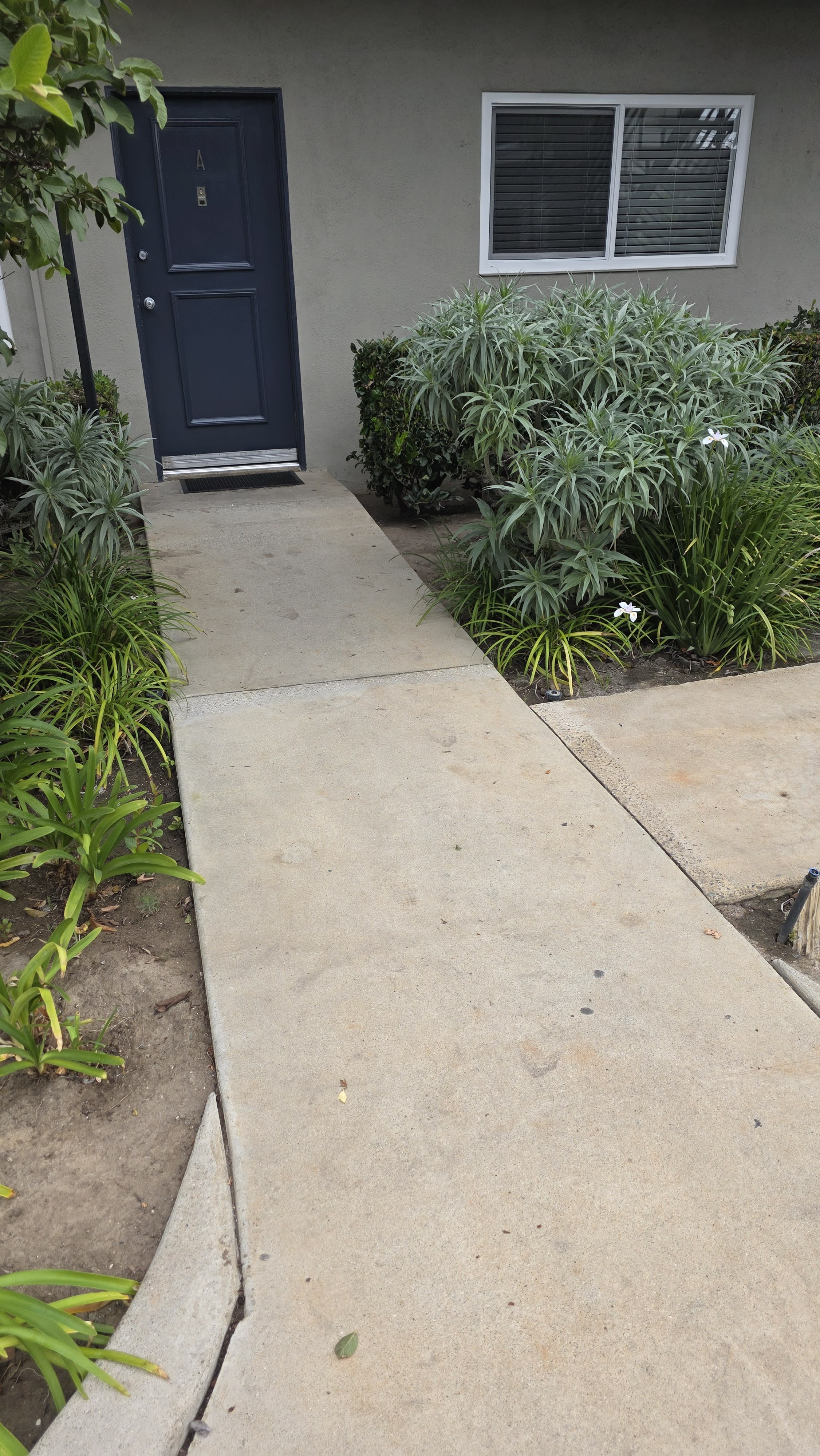 2256 Maple Street – photo 1