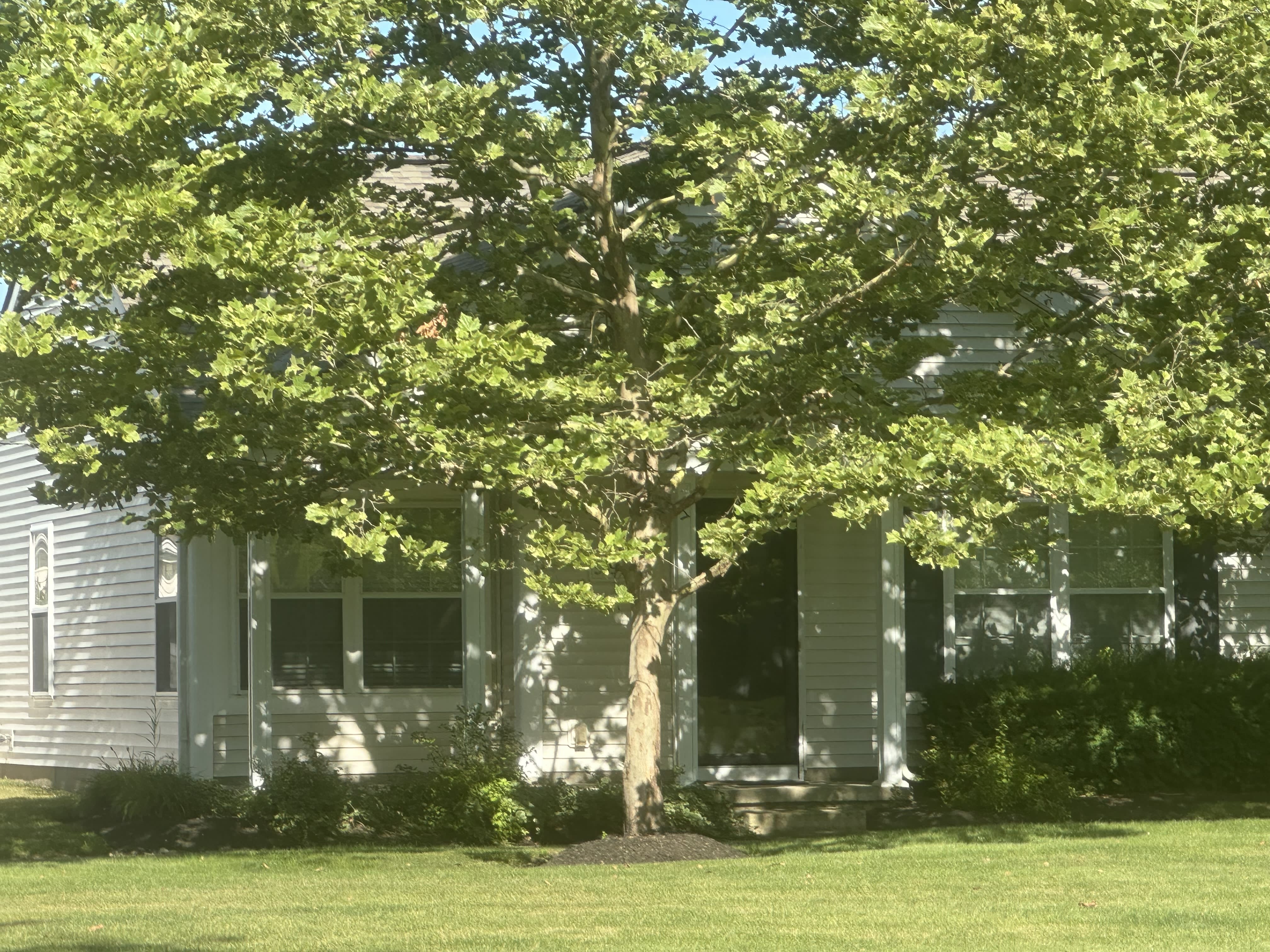 5994 Inslee Rd – photo 3