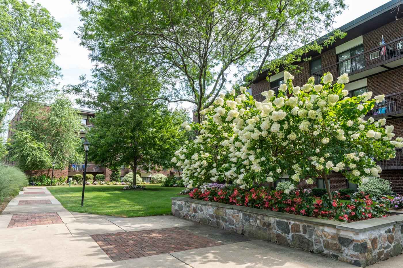 Quincy Commons – photo 4