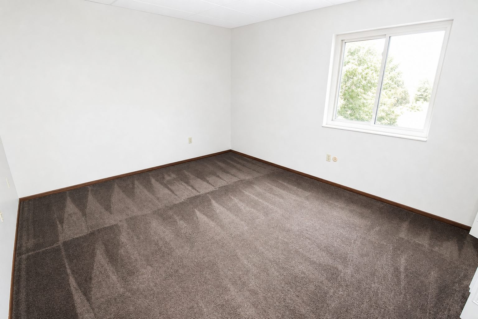 529 MONROE AVEAPT 16 – photo 5