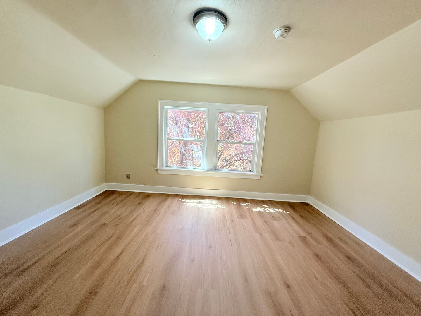 Cute Newley Remodeled 3 Bd In Aloha – photo 4
