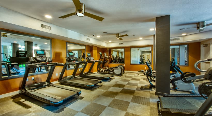 Elevation San Tan – photo 1
