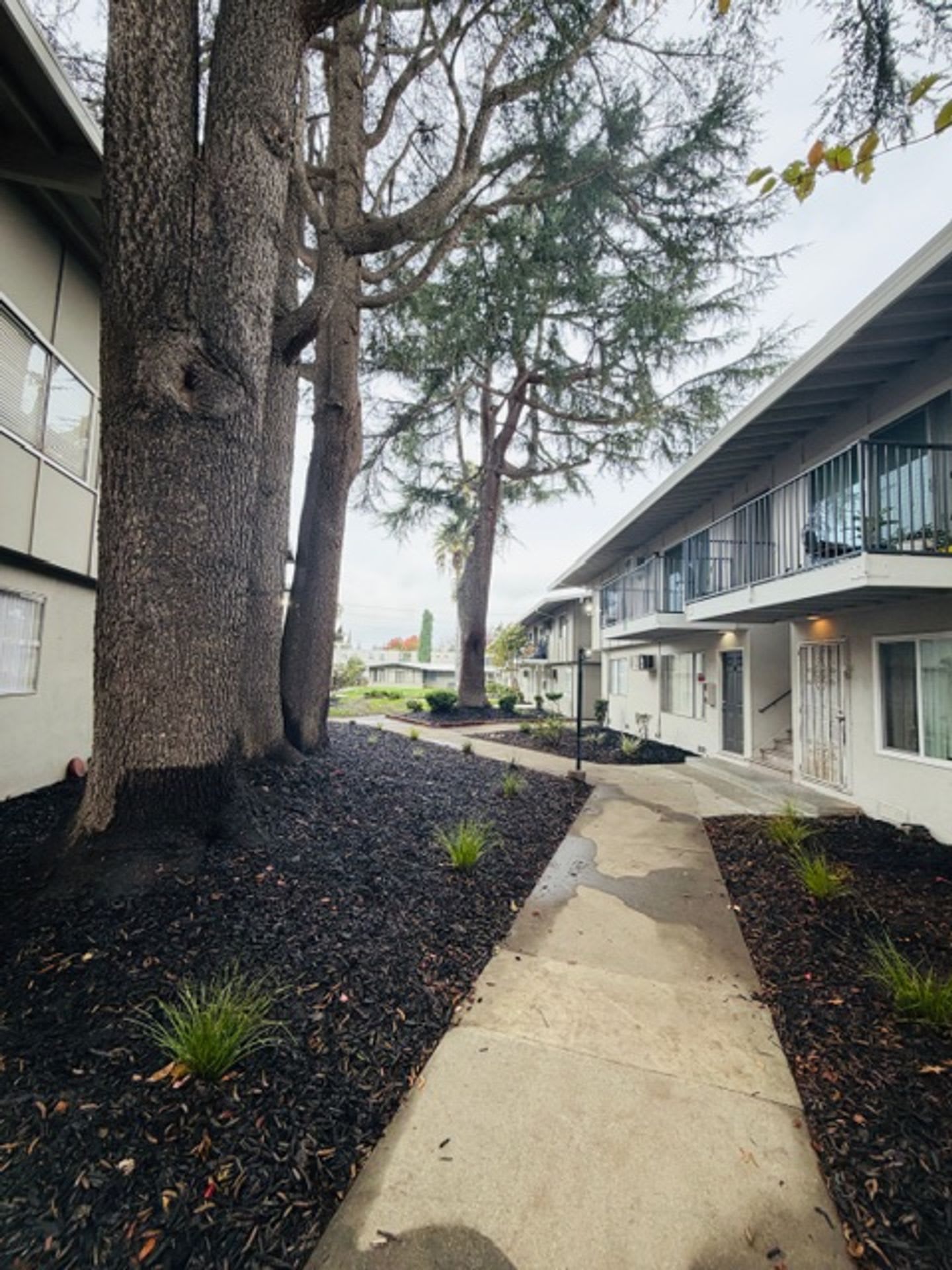 Park Hills Place – photo 5