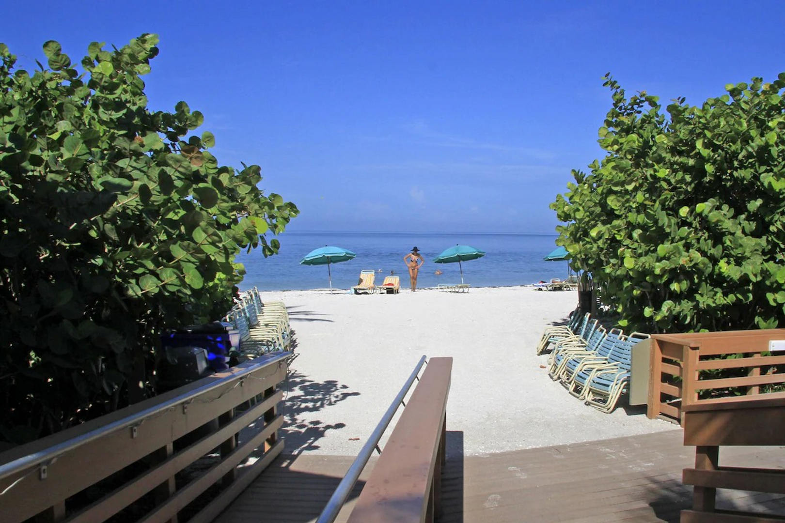 ** BEAUTIFUL UPDATED FURNISHED 2/2 CONDO IN WILD PINES BONITA BAY, BONITA SPRINGS** – photo 4