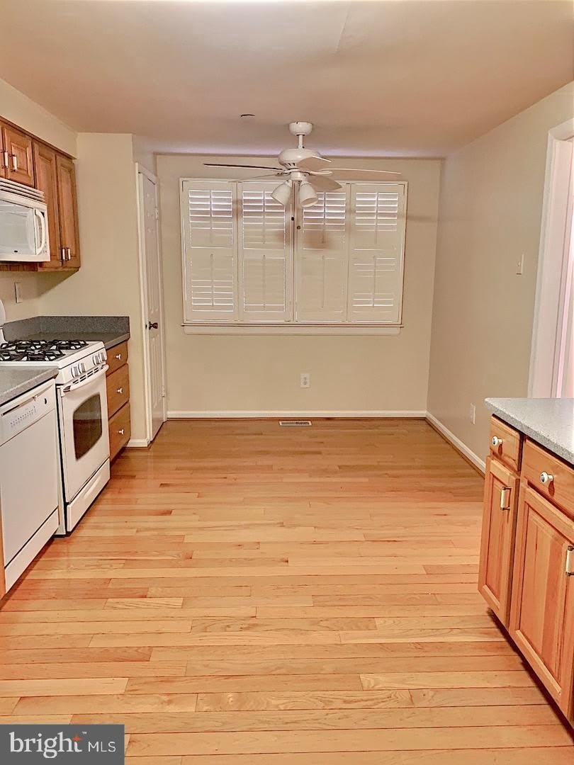 3100 BLACK HICKORY Drive – photo 4