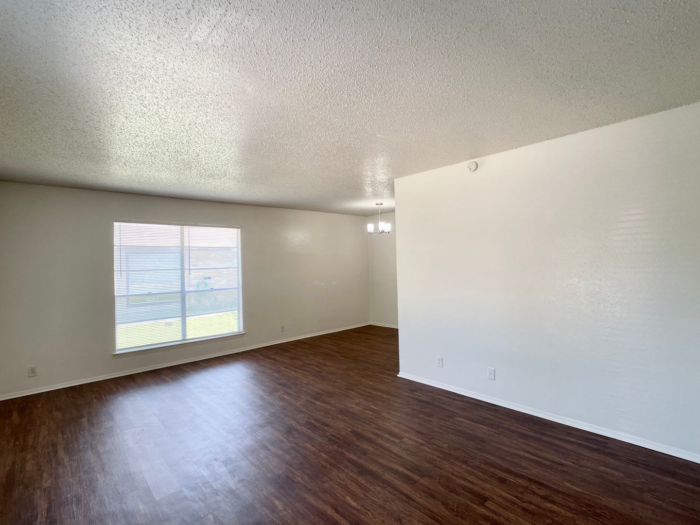 Upgraded 2 1 In South Austin – photo 3