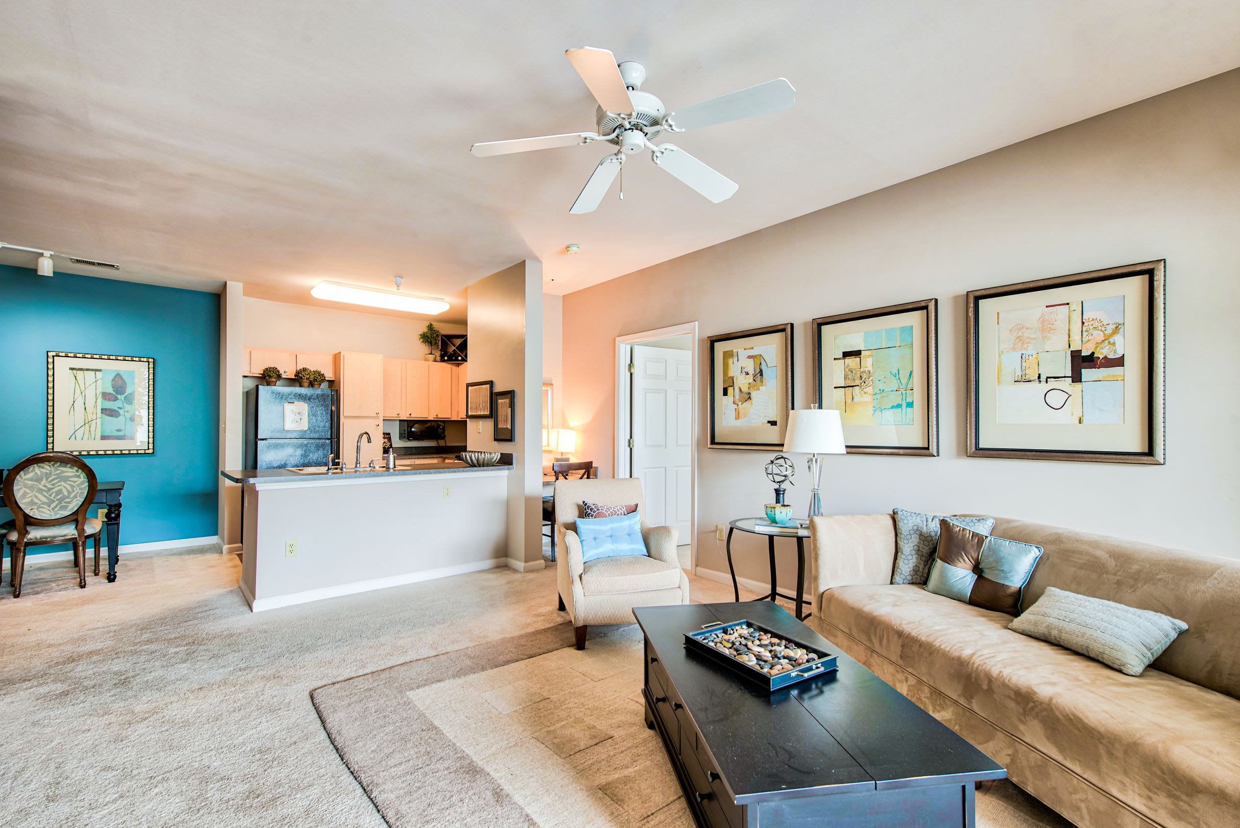 Bristol Village at Charter Colony – photo 5