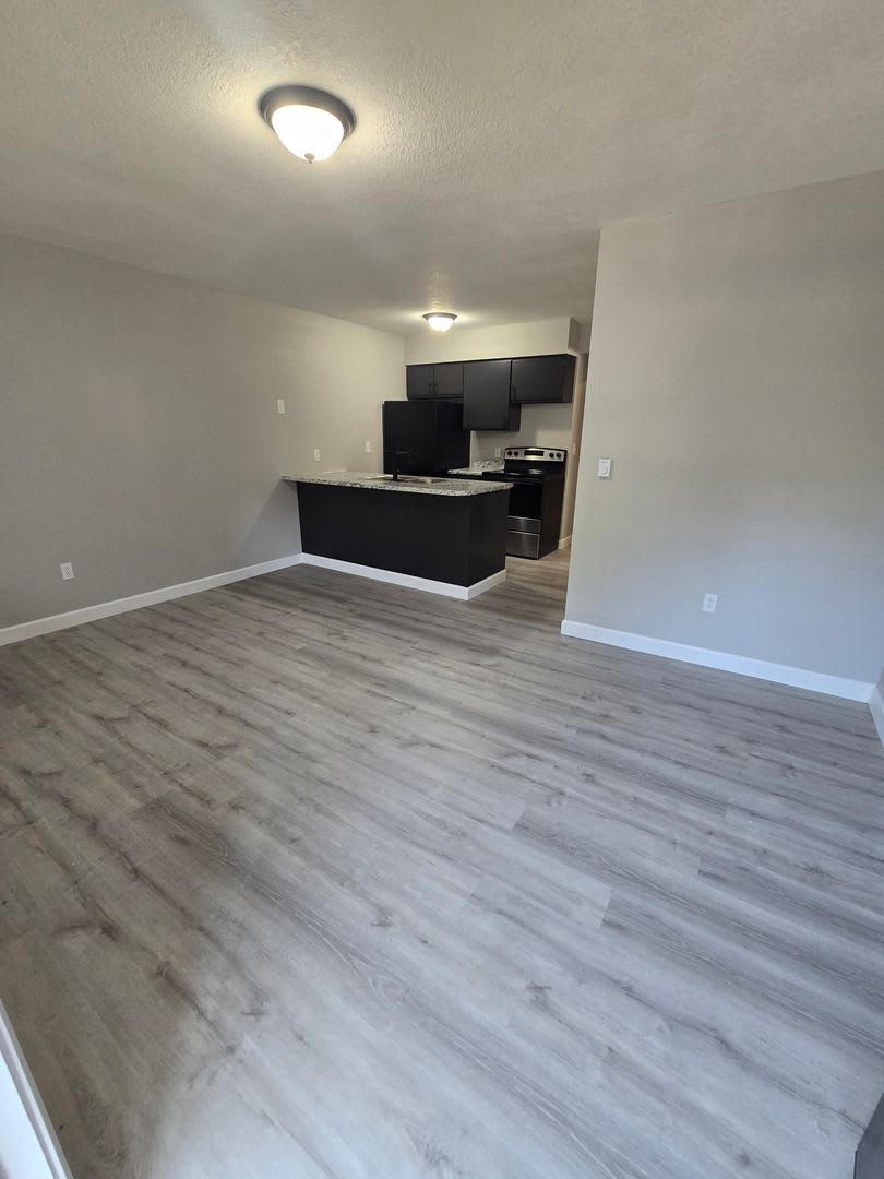 1 Bedroom 1 Bathroom Apartment – photo 3