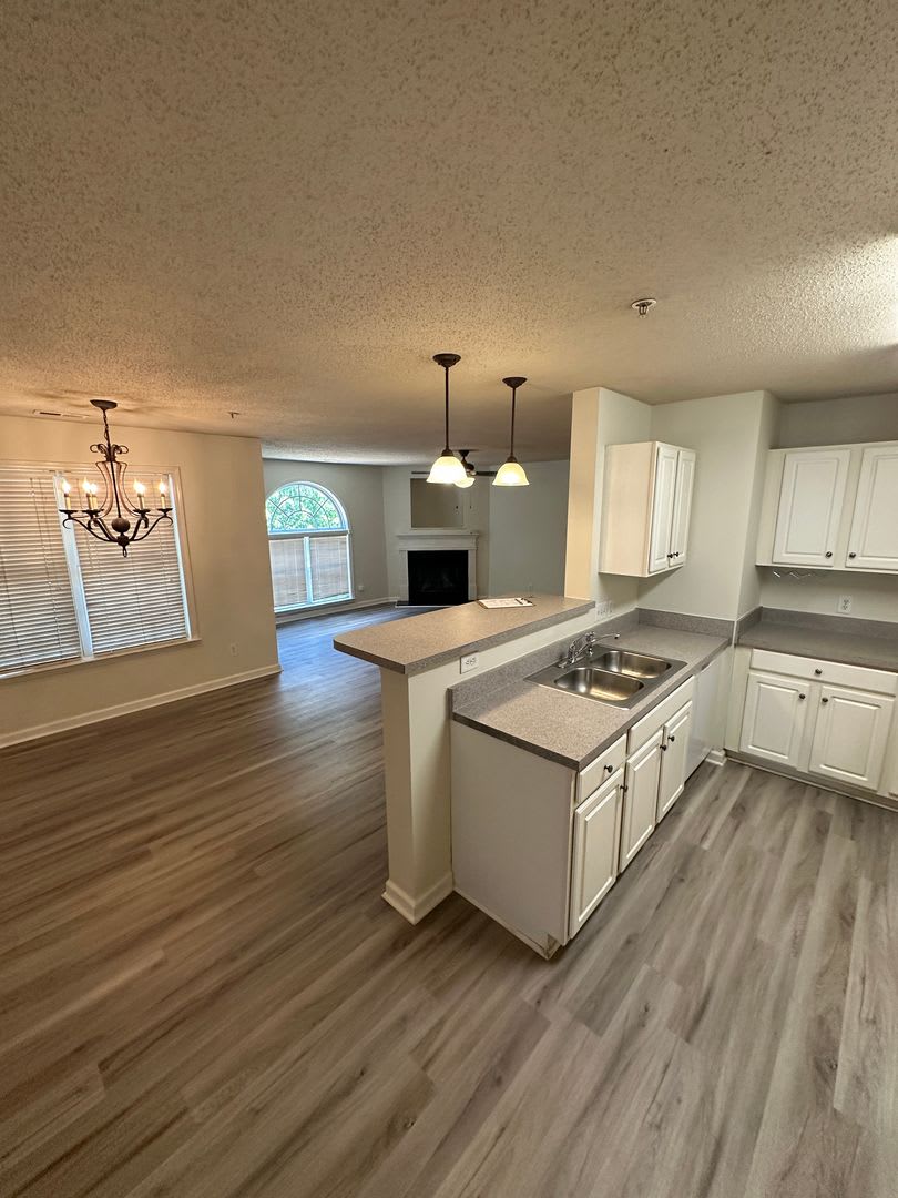 Now Available: Upgraded 2-Bedroom Apartment at 3475 Forestdale Dr, Apt 2B – photo 5