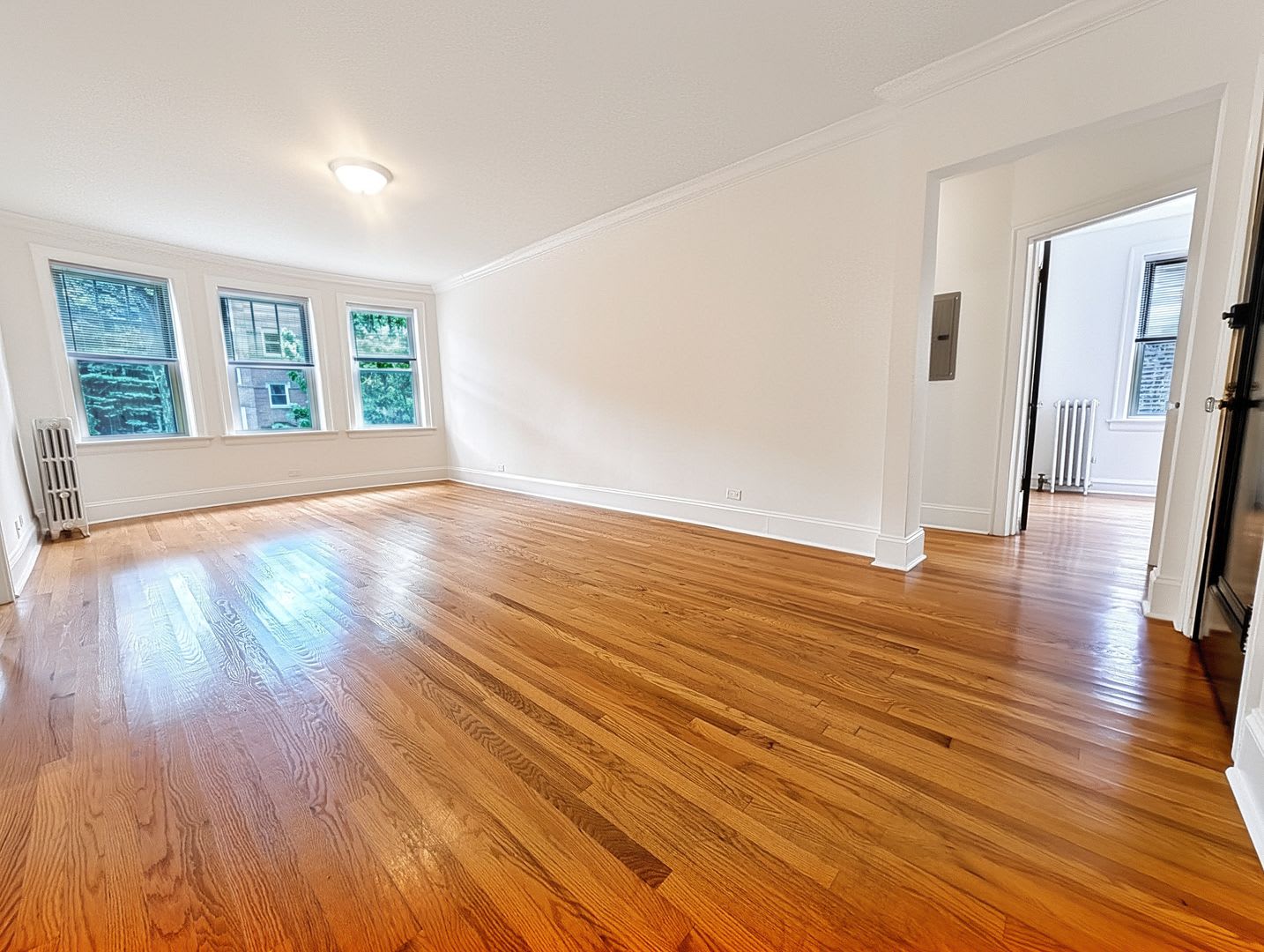 Bright and Sunny Updated 3-bed/1-bath near Loyola – photo 3