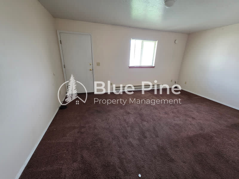 2137 Meppen Drive – photo 3