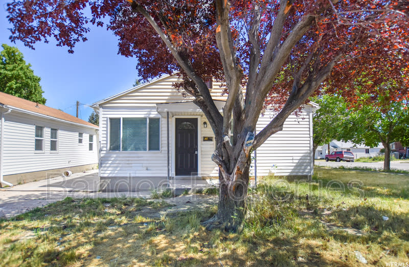 267 Maple Street – photo 4