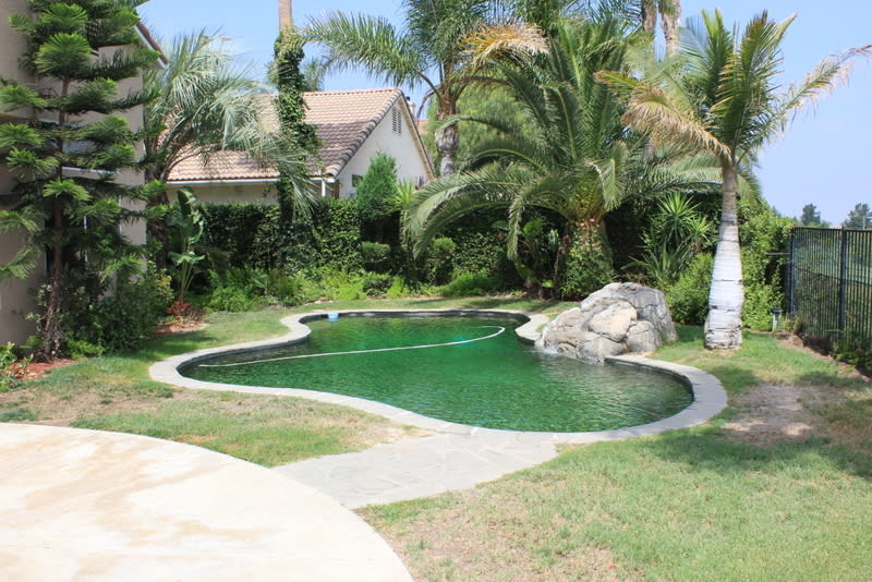 Coming Soon! Great Views 2 story 4/2.5 bath home in Corona Vista for lease! – photo 4
