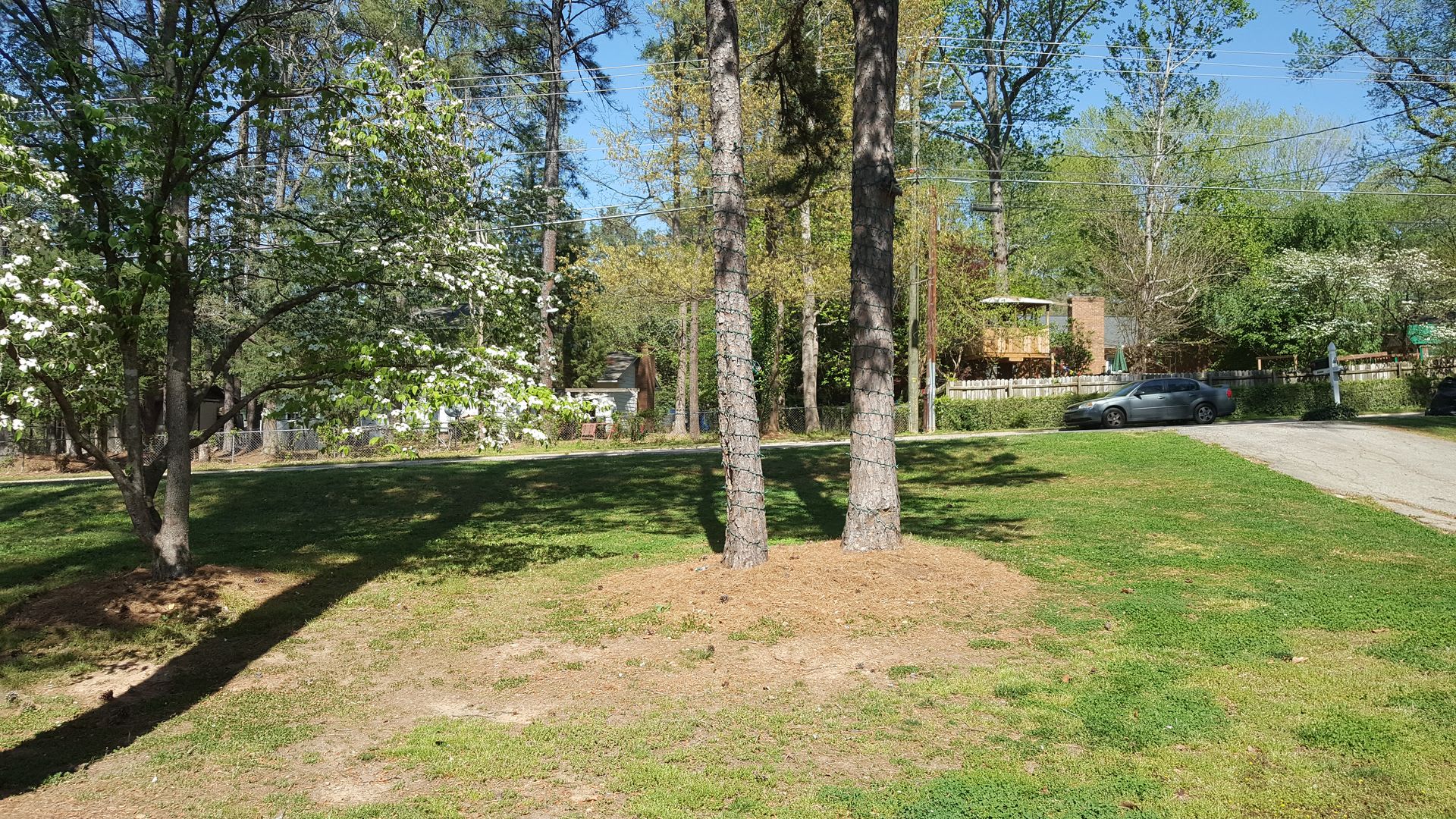 North Hills 4 bedroom for rent – photo 4