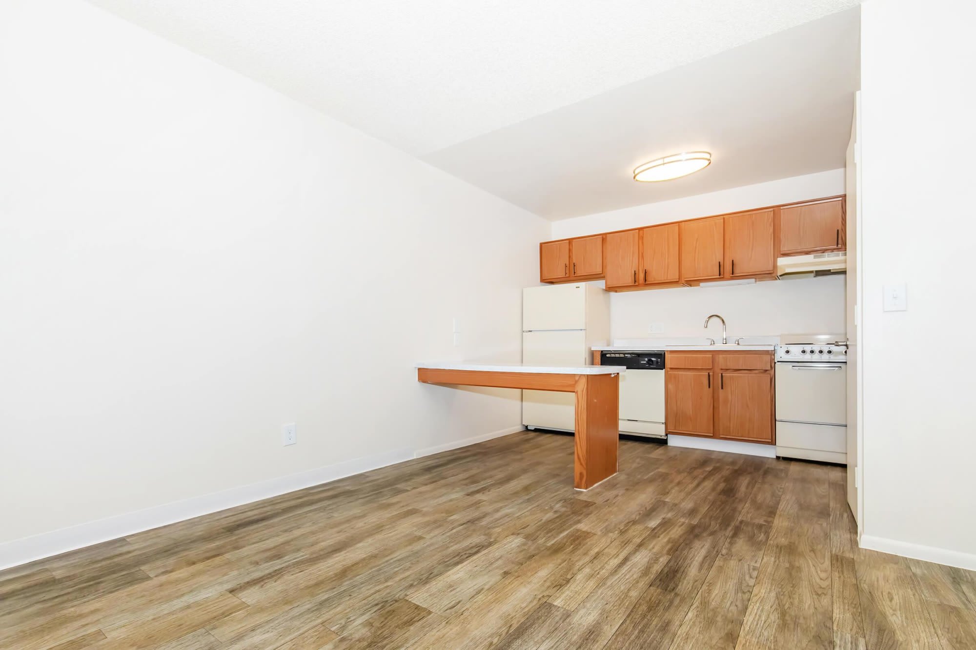Standard Raintree – photo 3