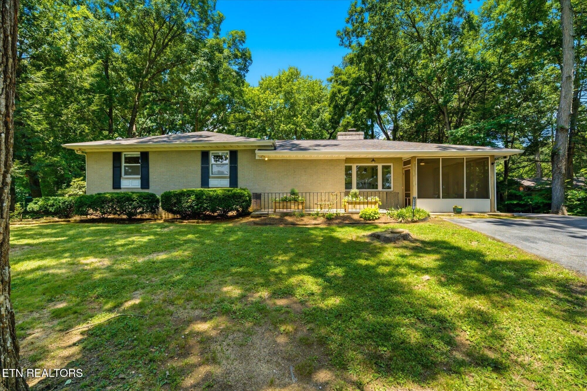 11153 Sonja Drive – photo 1