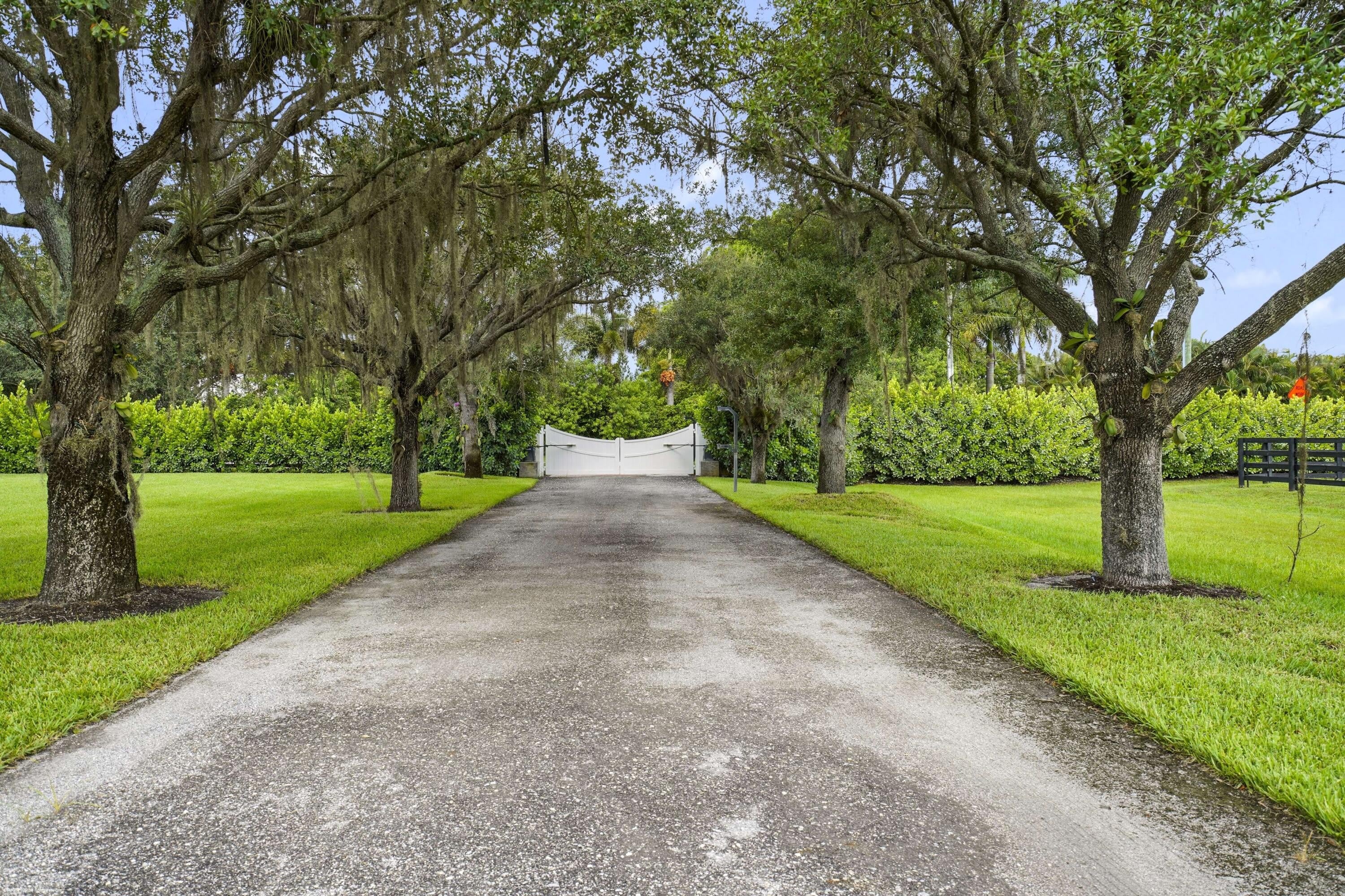 2600 APPALOOSA Trail – photo 3