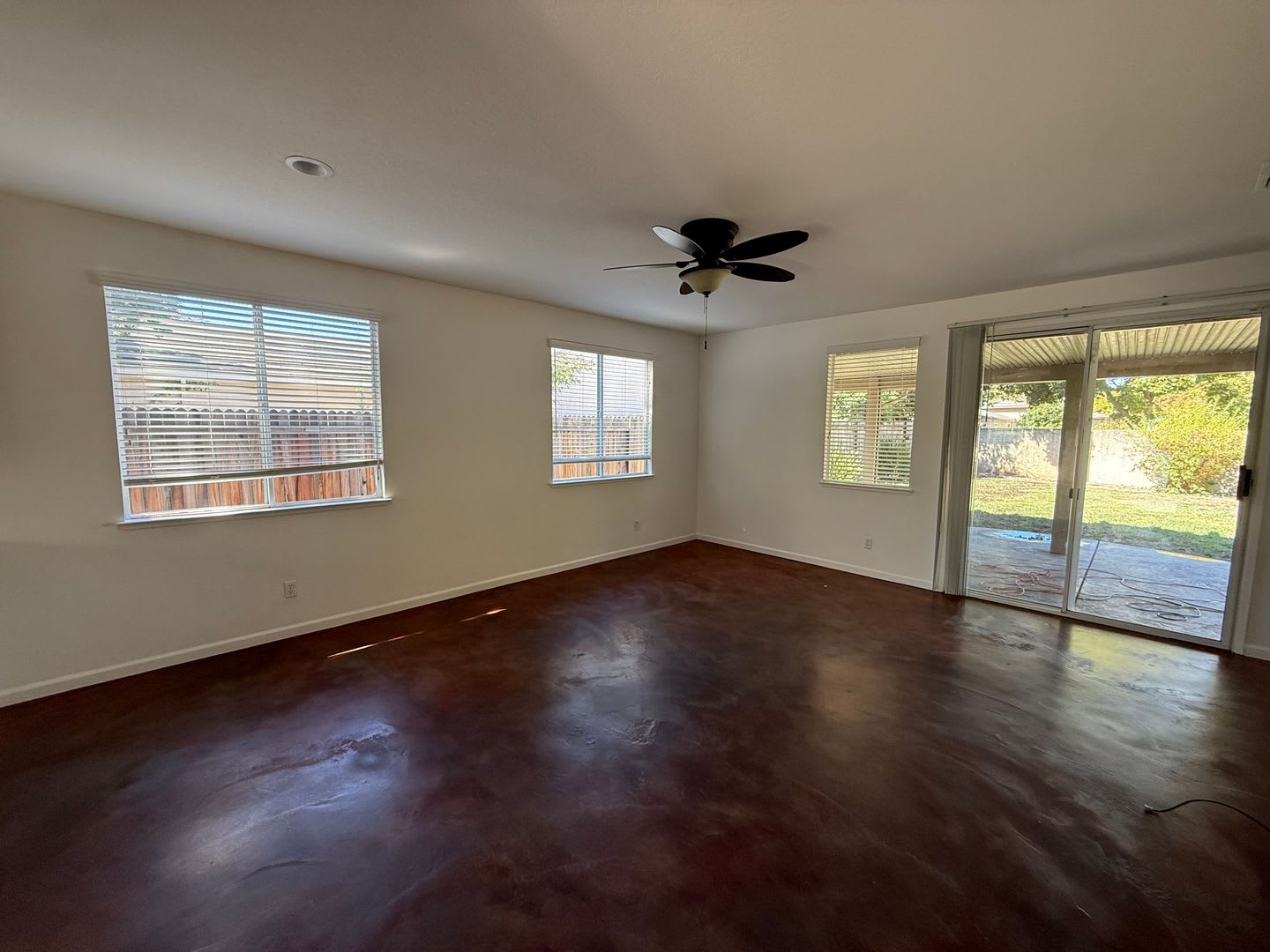 2368 Sansome St – photo 2