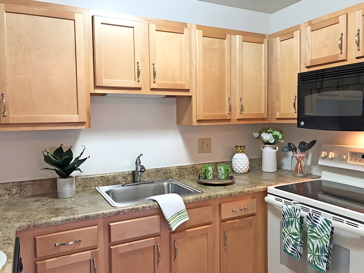 Williamsburg Village Apartments – photo 2