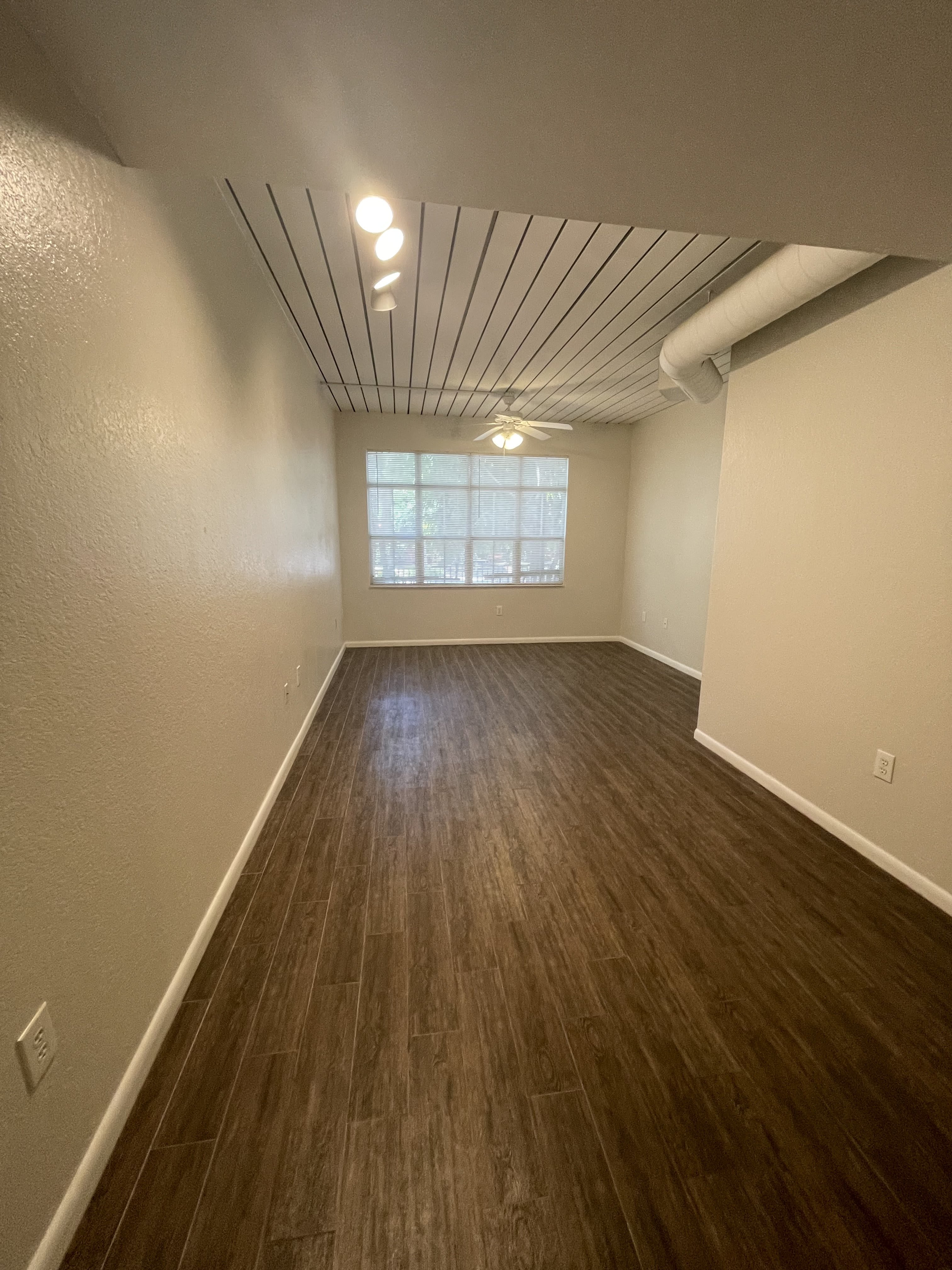 2411 W Horatio St – photo 4