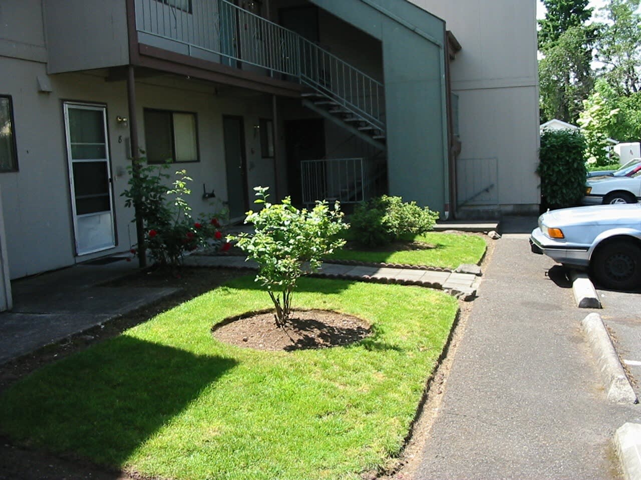 Evergreen East – photo 3