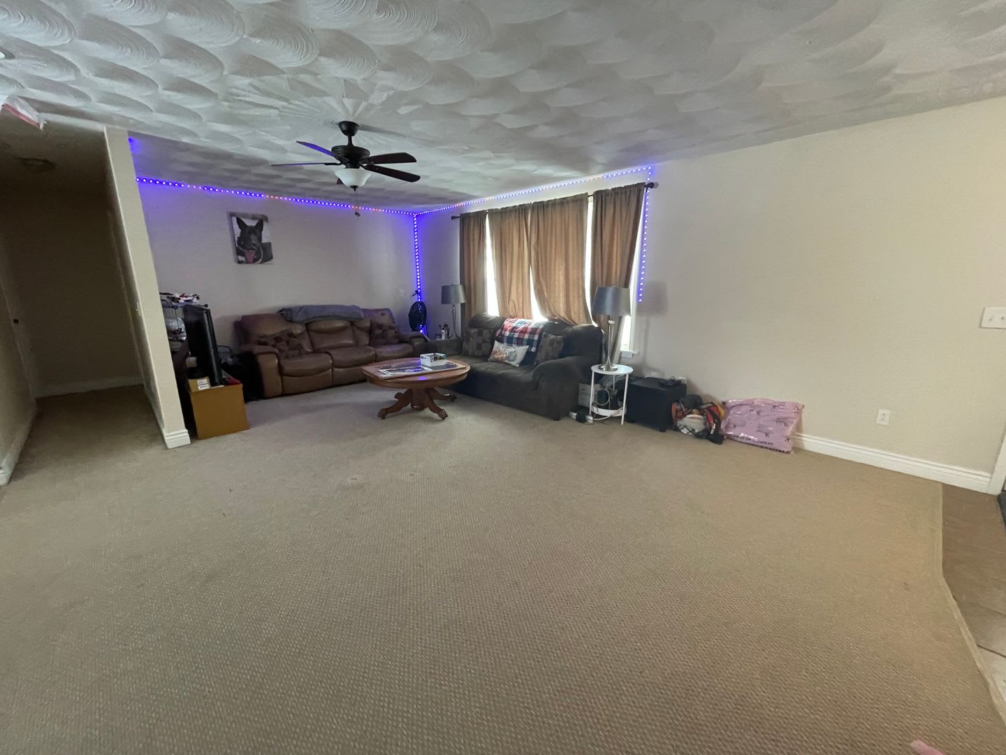 4 Bedroom Close to Ithaca College – photo 2