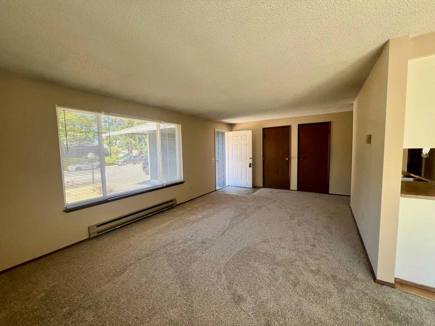 New Carpet & Paint – photo 4