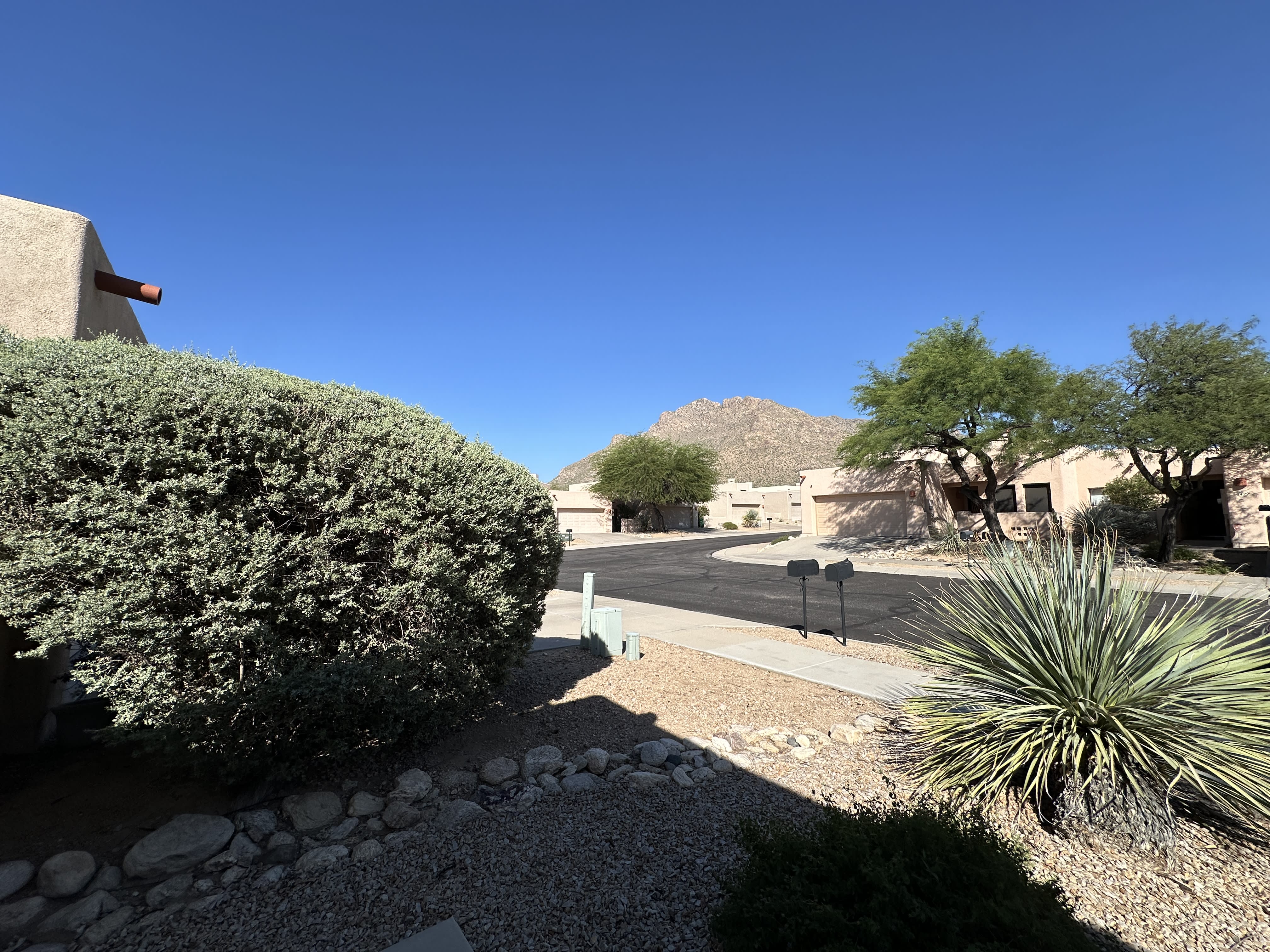 8435 N Hanks Pl – photo 3