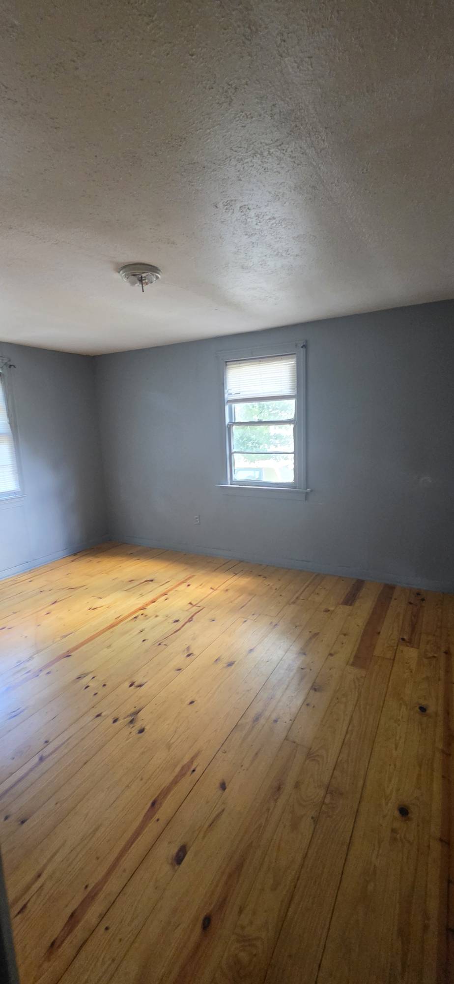 3483 Hollywood Street – photo 4
