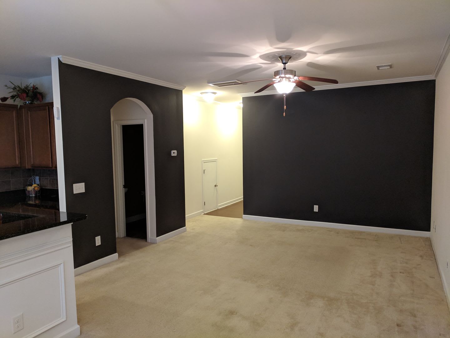 Steele Creek area townhome – photo 4