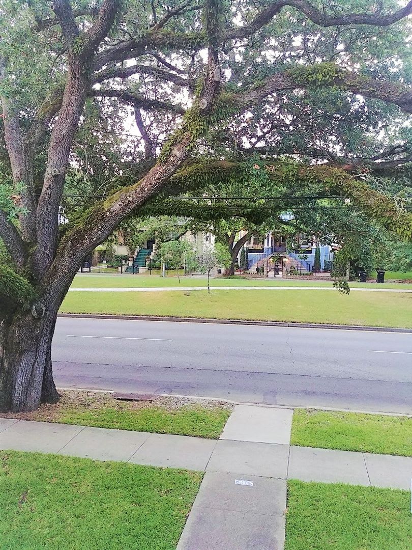 Spacious New Orleans Rental in a Prime Napoleon Ave Location – photo 5