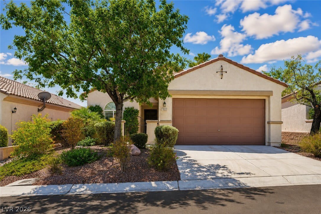 11533 Crimson Rose Avenue – photo 1