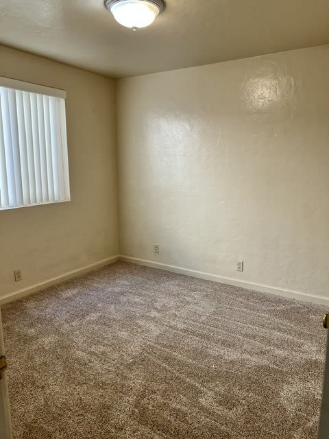 241 Pamela Ave – photo 2