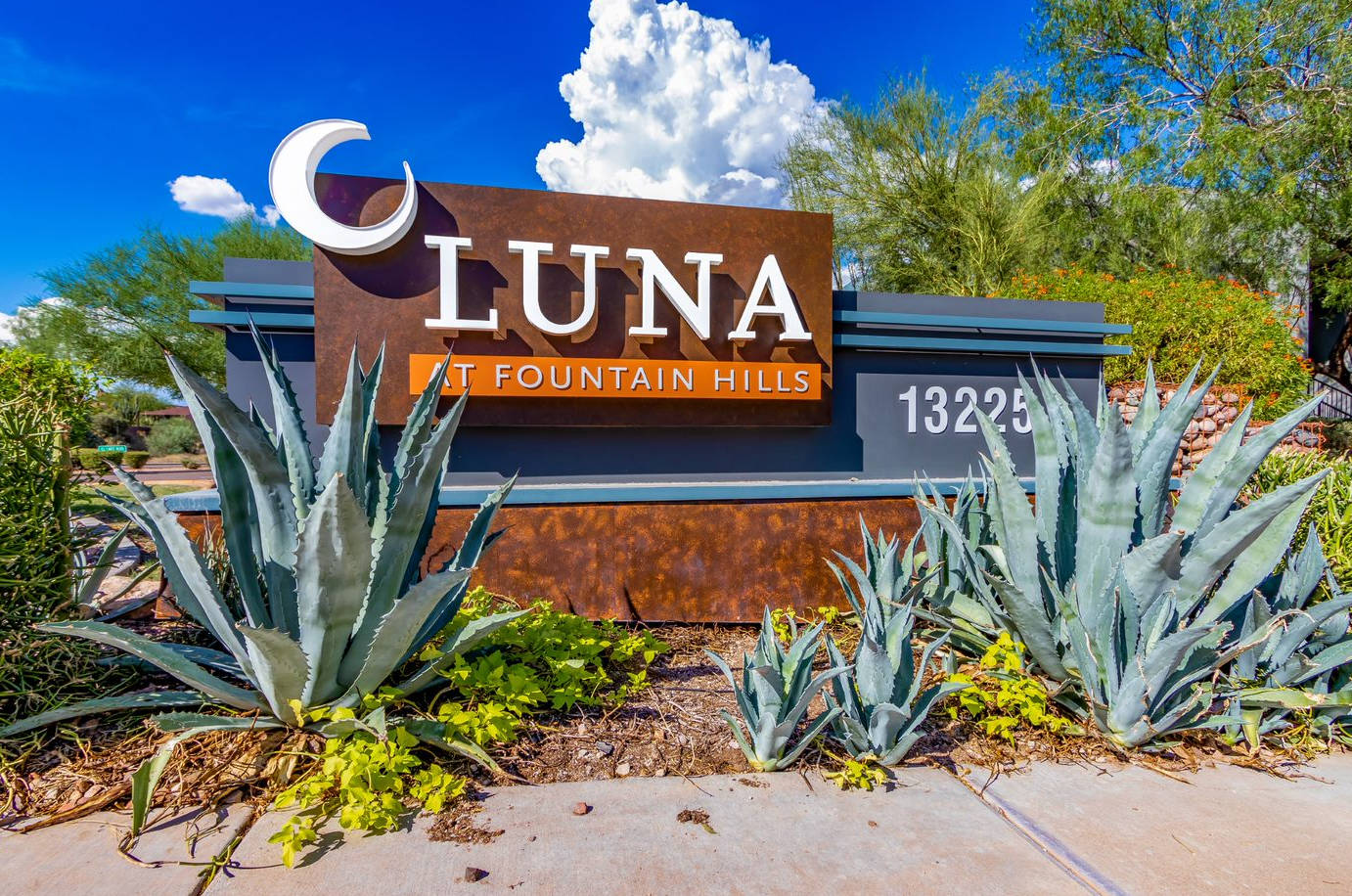 Luna at Fountain Hills by Mark-Taylor – photo 4