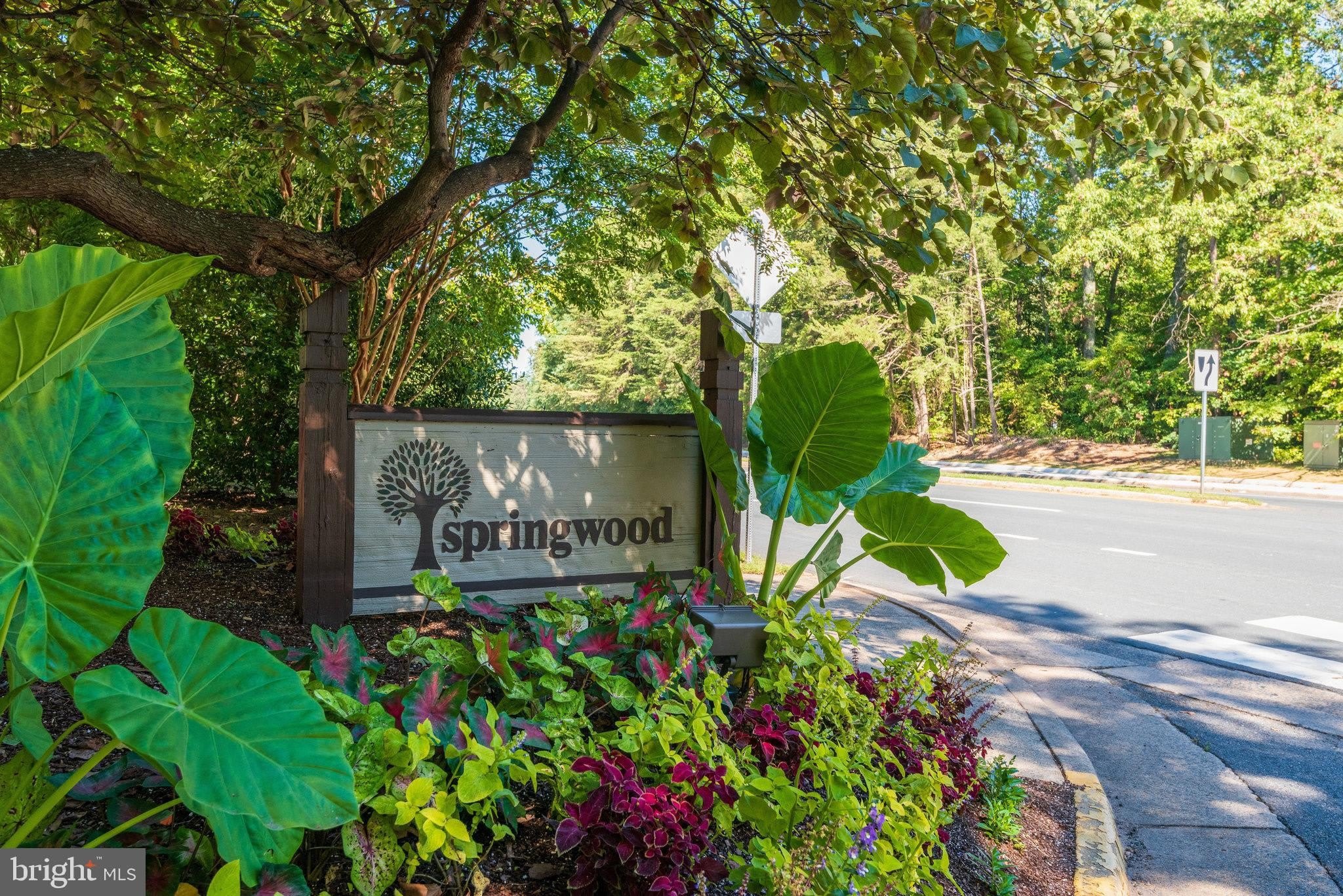2210 SPRINGWOOD Drive – photo 2