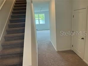 3301 Vesara Drive – photo 5