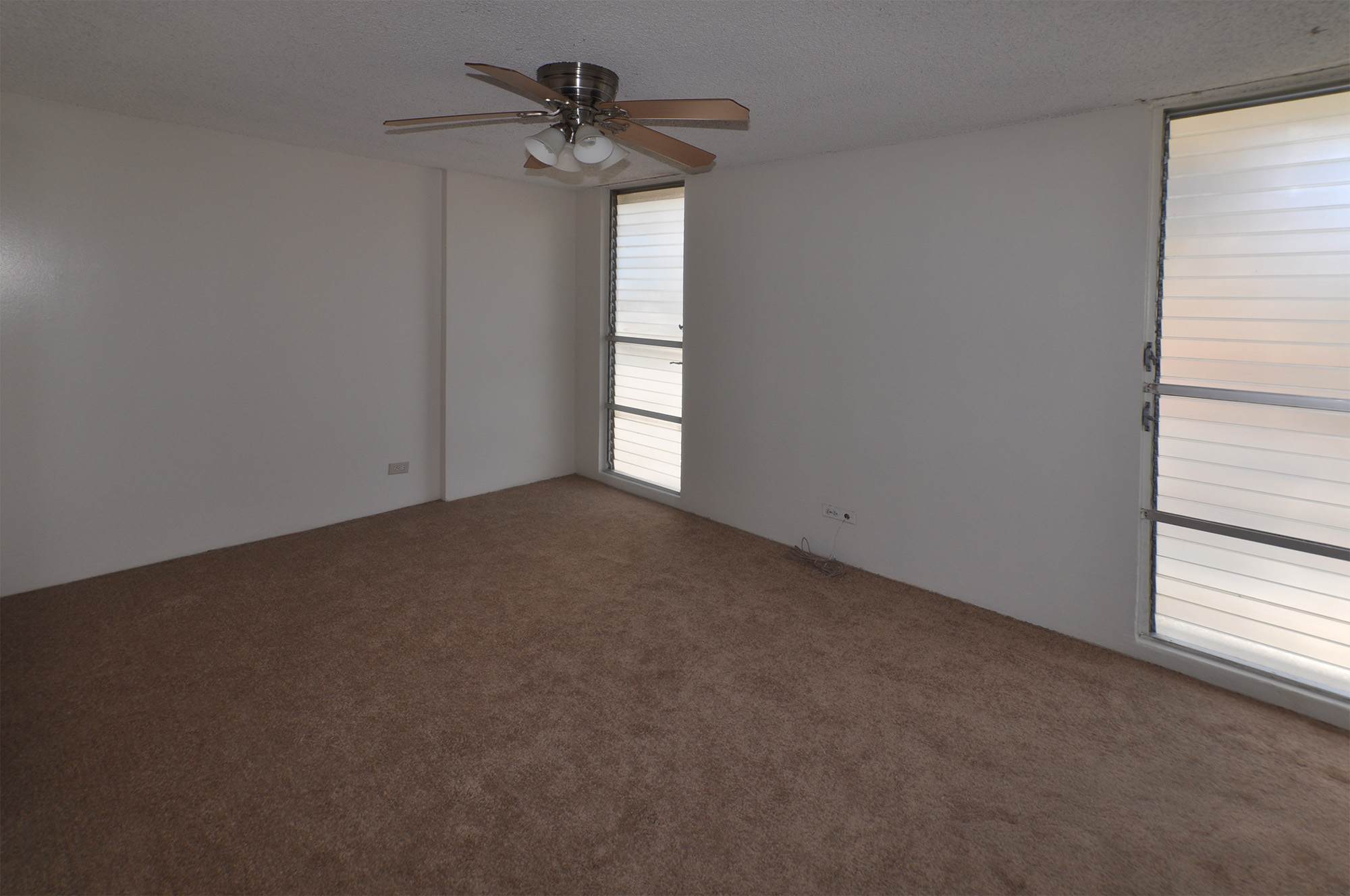 2222 Aloha Drive – photo 4