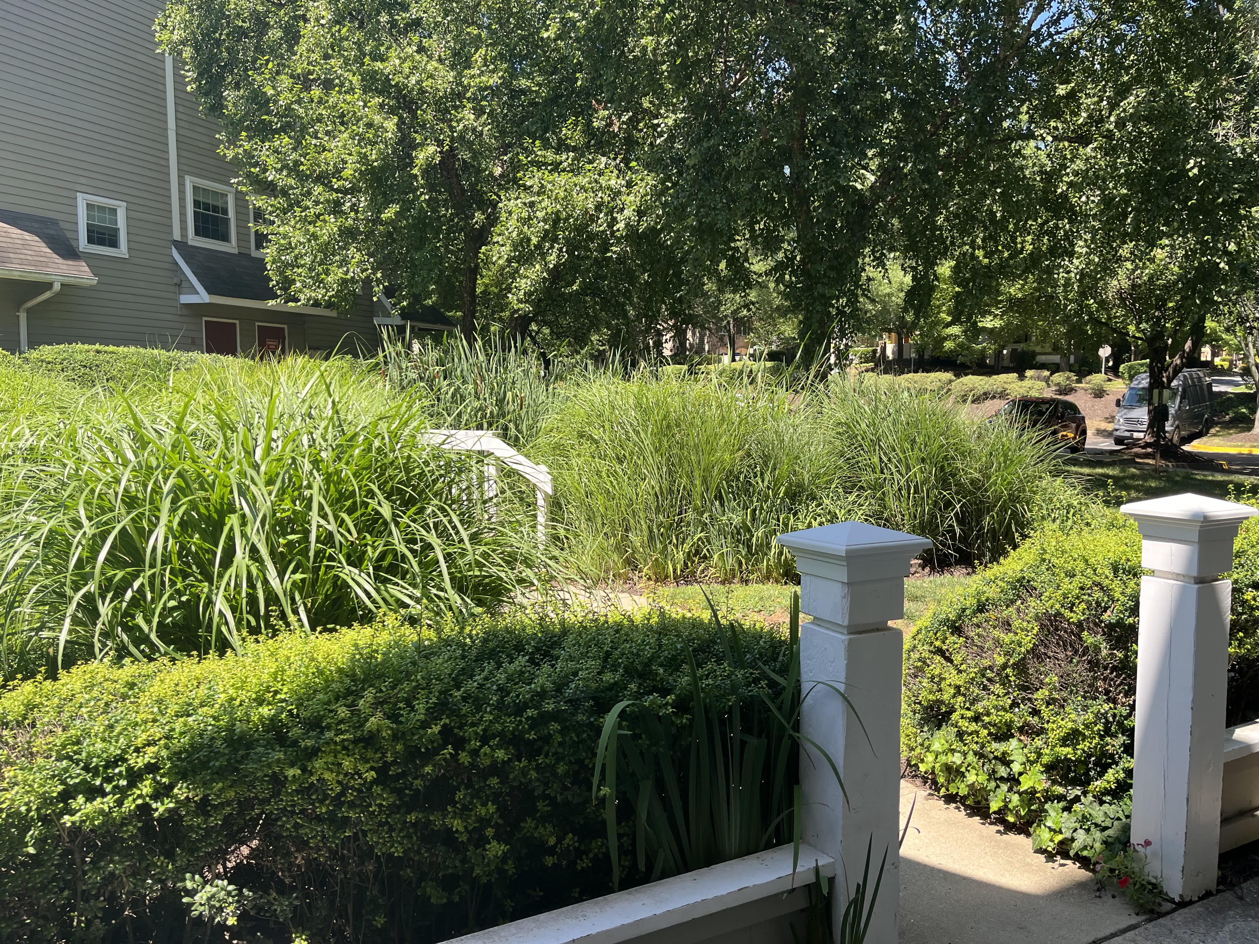 5701 Chapman Mill Drive – photo 1