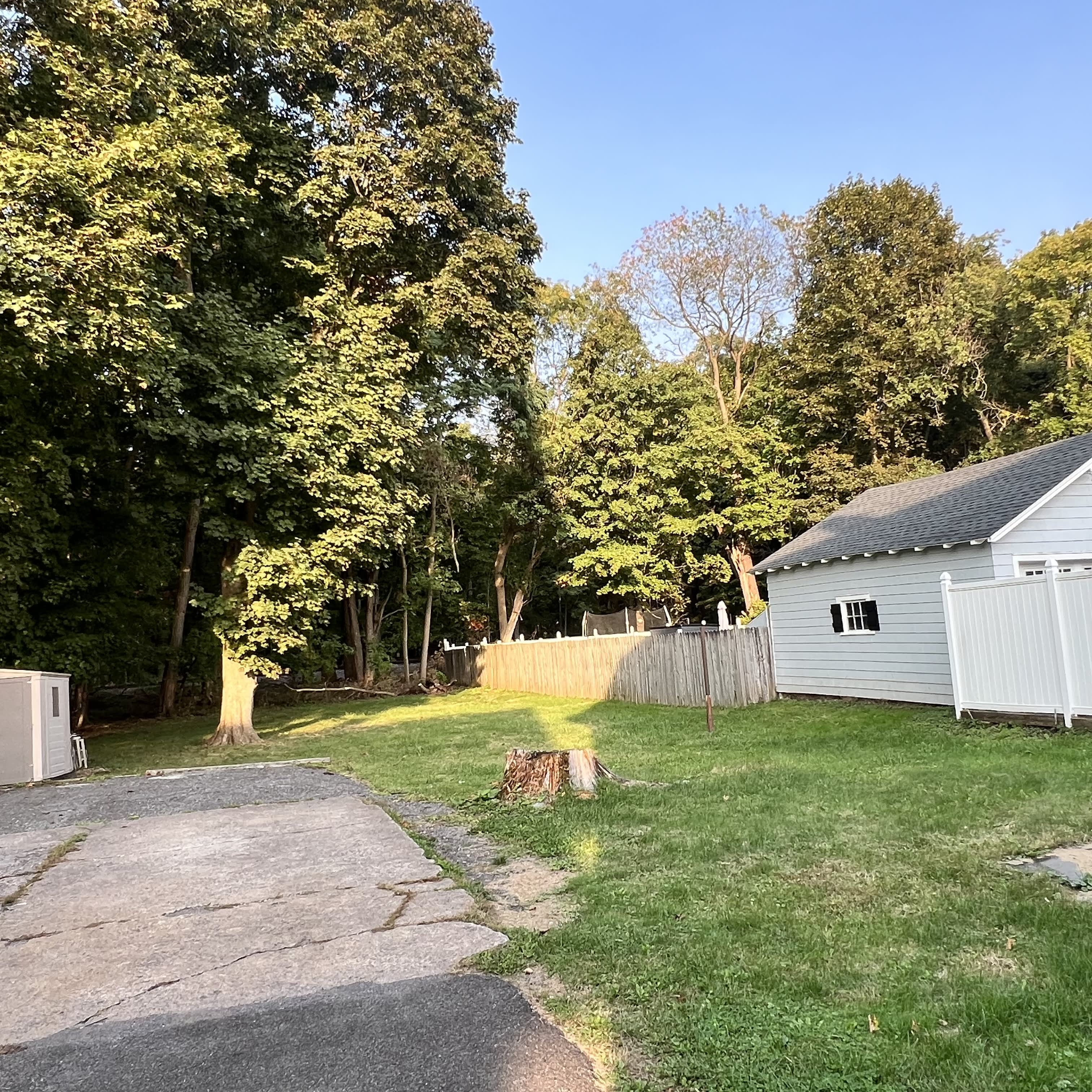 31 Higby Road – photo 5